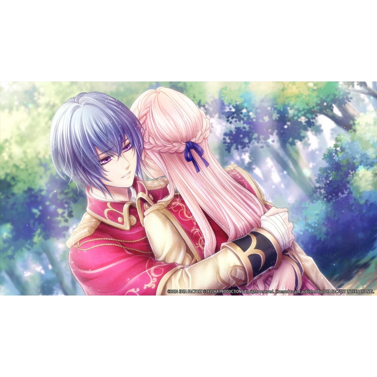 Battlefield Waltz for Nintendo Switch - Walmart.com