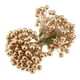 thumbnail image 5 of Decoración de Pared de Flores de Bayas de Simulación de para en hogar 200 Piezas Dorado + Soledad Bayas de flores artificiales, 5 of 10