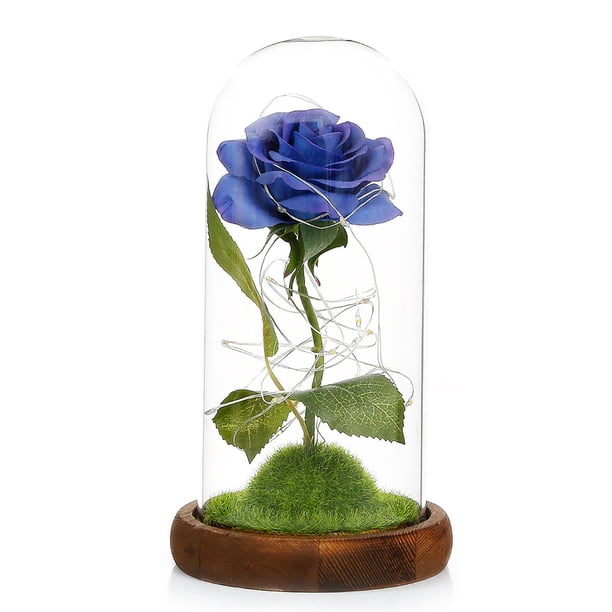 Lámpara De Rosa De Simulación, Rosa Inmortal, La Bella Y La Bestia, Linterna De Rosa, Flor Eterna, Cubierta De Cristal, Decoración, Decoración De Luz Rosa Yuarrent HA026722-02