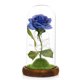thumbnail image 1 of Lámpara De Rosa De Simulación, Rosa Inmortal, La Bella Y La Bestia, Linterna De Rosa, Flor Eterna, Cubierta De Cristal, Decoración, Decoración De Luz Rosa Yuarrent HA026722-02, 1 of 5
