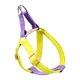 thumbnail image 5 of Arnés para perros de 1 pieza, chaleco ajustable para perros, correa suave para el pecho para mascotas sin correa para perros, 5 of 6
