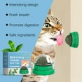thumbnail image 5 of Mint Flavored Spinning Ball Cat Toy - Interactive Chew Resistant Rotating Fun Play for Indoor Cats, Kitten Enrichment Teaser Toys with Catnip Alternatives (1-Pack), 5 of 6