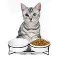 thumbnail image 4 of Double Ceramic Raised Cat or Small Dog Bowls with Metal Stand 12 Ounces, White, 4 of 4