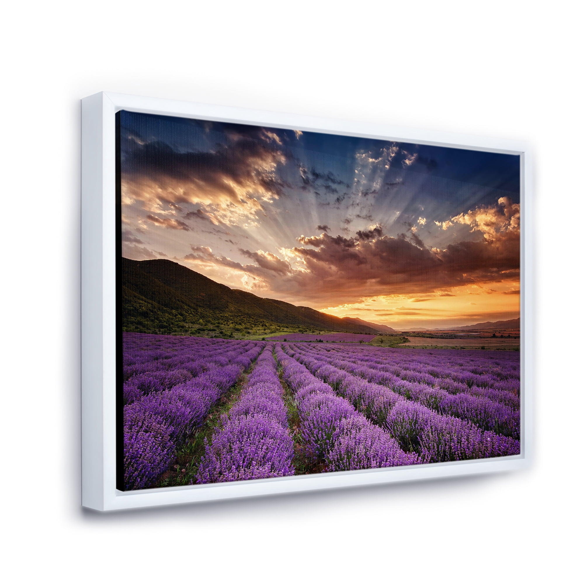 Designart 'Dramatic Clouds and Sunrise Over Lavender Field X' Farmhouse Framed Canvas Wall Art Print
