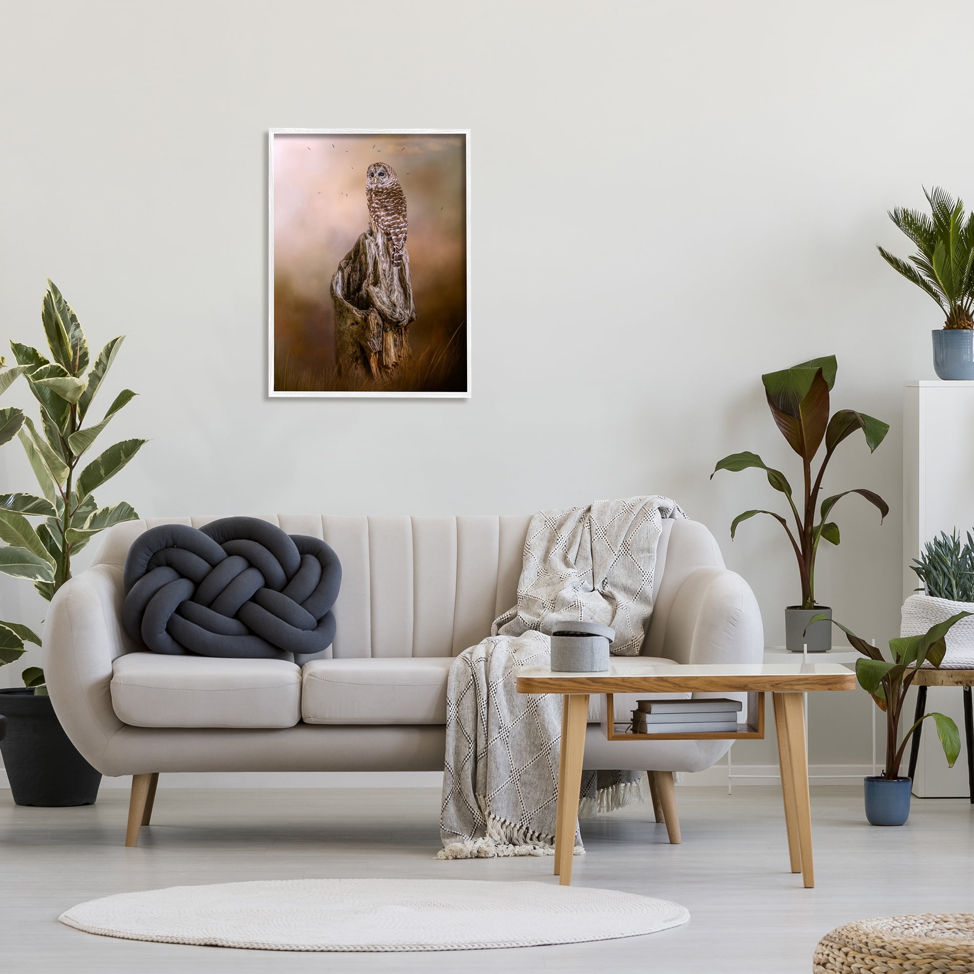 Stupell Barred Owl Perched Tree Trunk Nature Animals & Insects Photography White Framed Art Print Wall Art