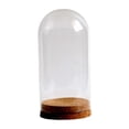 thumbnail image 5 of Preserved Flower Glass Glass Display Case DIY Stylish Microlandscape Holder Glass Dome Cloche Cover for Table Home 9cmx20cm, 5 of 8