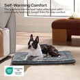 thumbnail image 5 of U By Bedsure ComfyFleece Self Warming Cat Bed, Small Self Heating Dog Crate Pad, Thermal Extra Warm Puppy Mat Indoor,Non-Slip & Washable, Not Electric, 24" x 18",White, 5 of 9