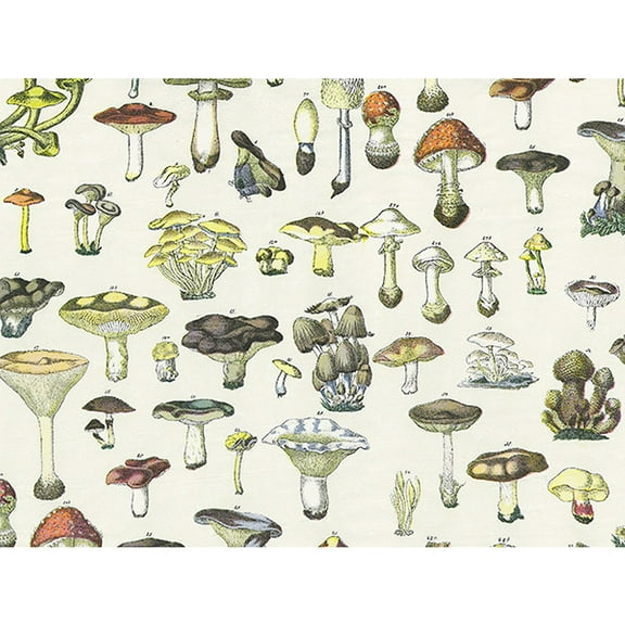 Vintage Mushrooms Tissue Paper - 20in. X 30in. Sized Sheets - 12 Sheets (p125212) - Mushroom CottageCore GiftWrap