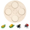 thumbnail image 1 of Stages Of , Insects Life Cycle Kit Teaching Learning  for Preschool, 1 of 7