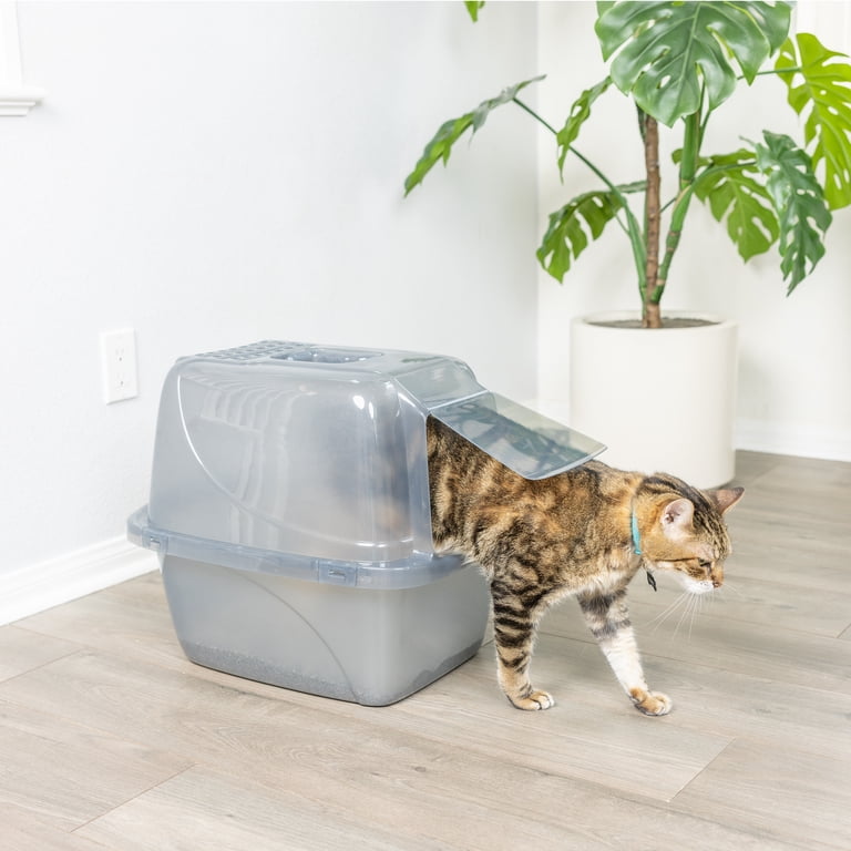 Van Ness Hooded Transculent Cat Litter Pan - Walmart.com