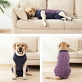 thumbnail image 3 of Dog Recovery Suit, Surgical Onesie for Abdominal Wounds, Dog Bodysuit, Blue, Medium, 3 of 7
