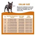 thumbnail image 4 of Collar De Perro Con Cadena Rosa, Collares De Perro Con Eslab, 4 of 7