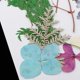 thumbnail image 3 of 25 mezclas das, hojas secas, relleno de muestras de plantas para decoración de uñas, álbumes de recortes, tarjetas, manualidades, resi Gloria Flores secas prensadas naturales, 3 of 9
