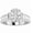 white-gold, variant on Platinum 4 Carat LAB GROWN IGI CERTIFIED DIAMOND Contemporary Channel Set Princess And Pave Round Cut Oval Cut Diamond Engagement Ring (D-E Color VS1-VS2 Clarity 3 Ct Center)