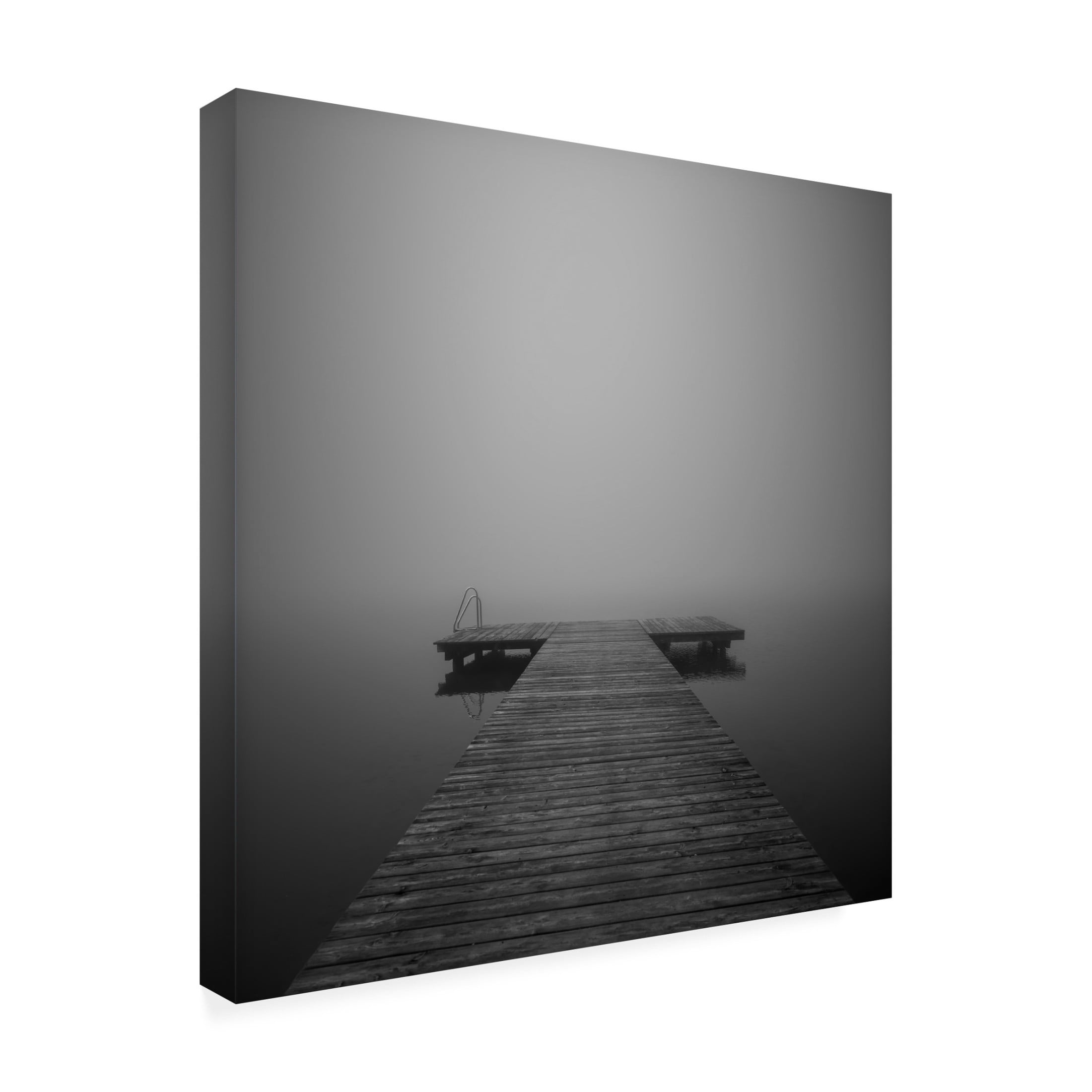 Canvas Wall Art - Margit Lisa Roeder 'Silence' Wall Art for Living Room, Bedroom, or Office Décor by Trademark Fine Art - 24 x 24 Inches