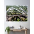 thumbnail image 2 of Inside Cloud Forest Singapore Poster Wall Art, Modern Wall Decor, 16x24 UNFRAMED, 2 of 3
