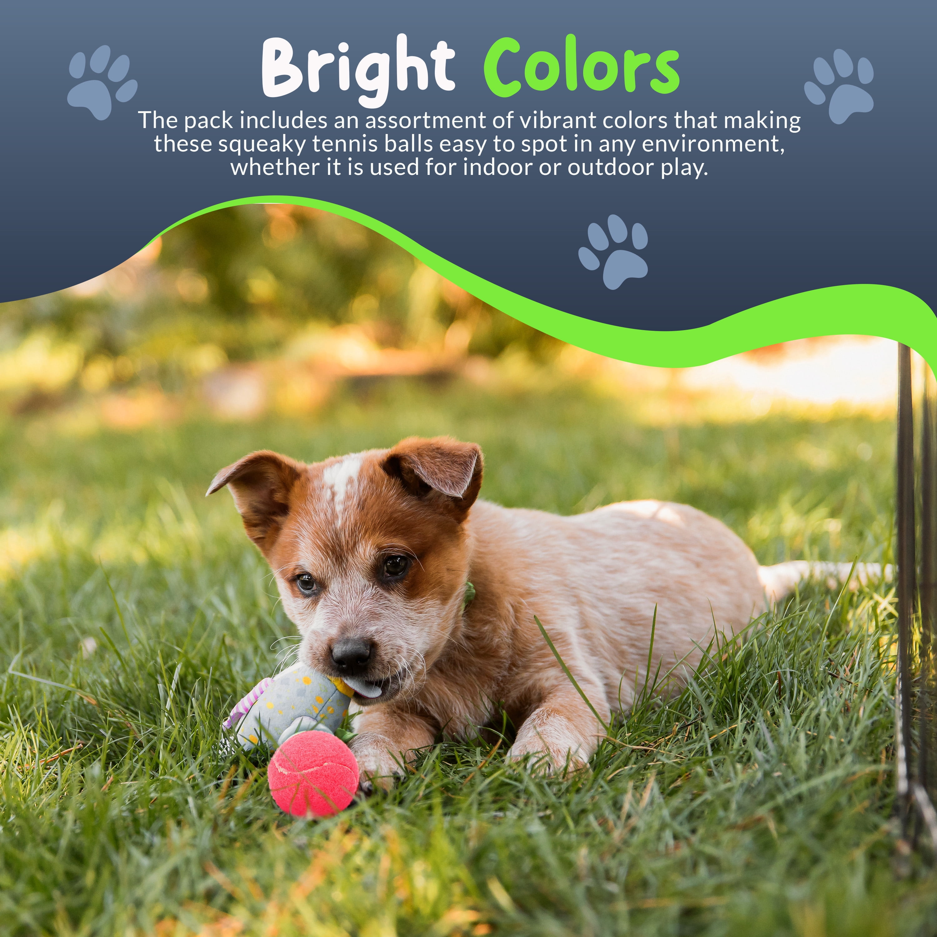 Petite Paws Squeaky Mini Tennis Balls for Small Dogs — 1.5 Inch, 12-Pack — Colorful Fetch & Training Toy