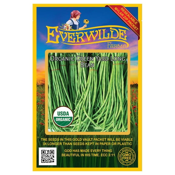 Everwilde Farms - 20 Organic Green Yard Long Bean Seeds - Gold Vault Jumbo Bulk Seed Packet