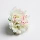 thumbnail image 4 of 20 cabezas de rosas artificiales de seda, rosas de tela, cabezas de flores decorativas verde claro, 4 of 9