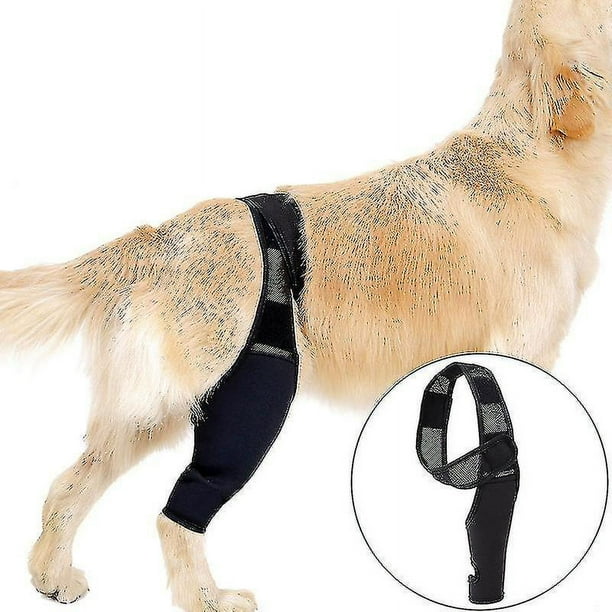 Dog Knee Brace For Acl Knee Cap Dislocation Arthritis Keeps The Joint Warm Extra Support Reduces Pain And Walmart