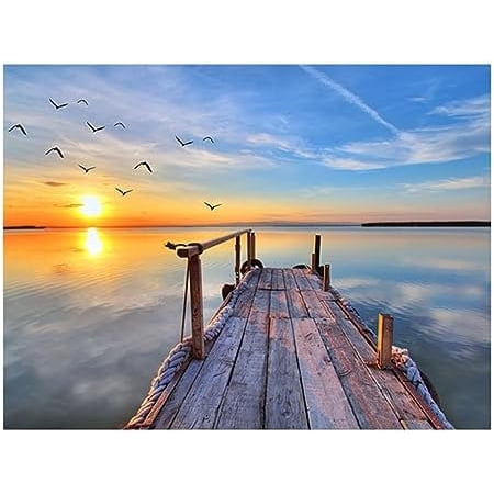 

Diamond Painting Kits for Adults 5D Diamond Art Painting Sunrise Bridge Seagulls DIY Full Drill Crystal Rhinestone Arts and Crafts Gem Art Painting with Diamond Home Wall Decor(35x45cm/1