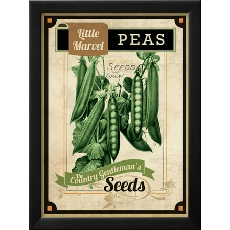 Vintage Peas Seed Packet Framed Giclee Print Wall Art Vintage Peas Seed Packet Framed Giclee Print Wall Art