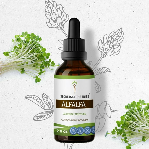 Alfalfa Tincture Alcohol Extract, Organic Alfalfa Medicago Sativa Heart Health and Immune Fortitude 2 oz
