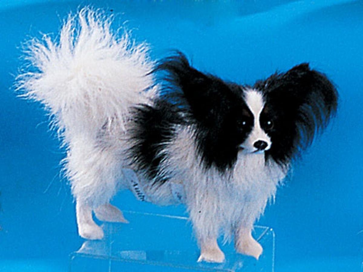 papillon statue