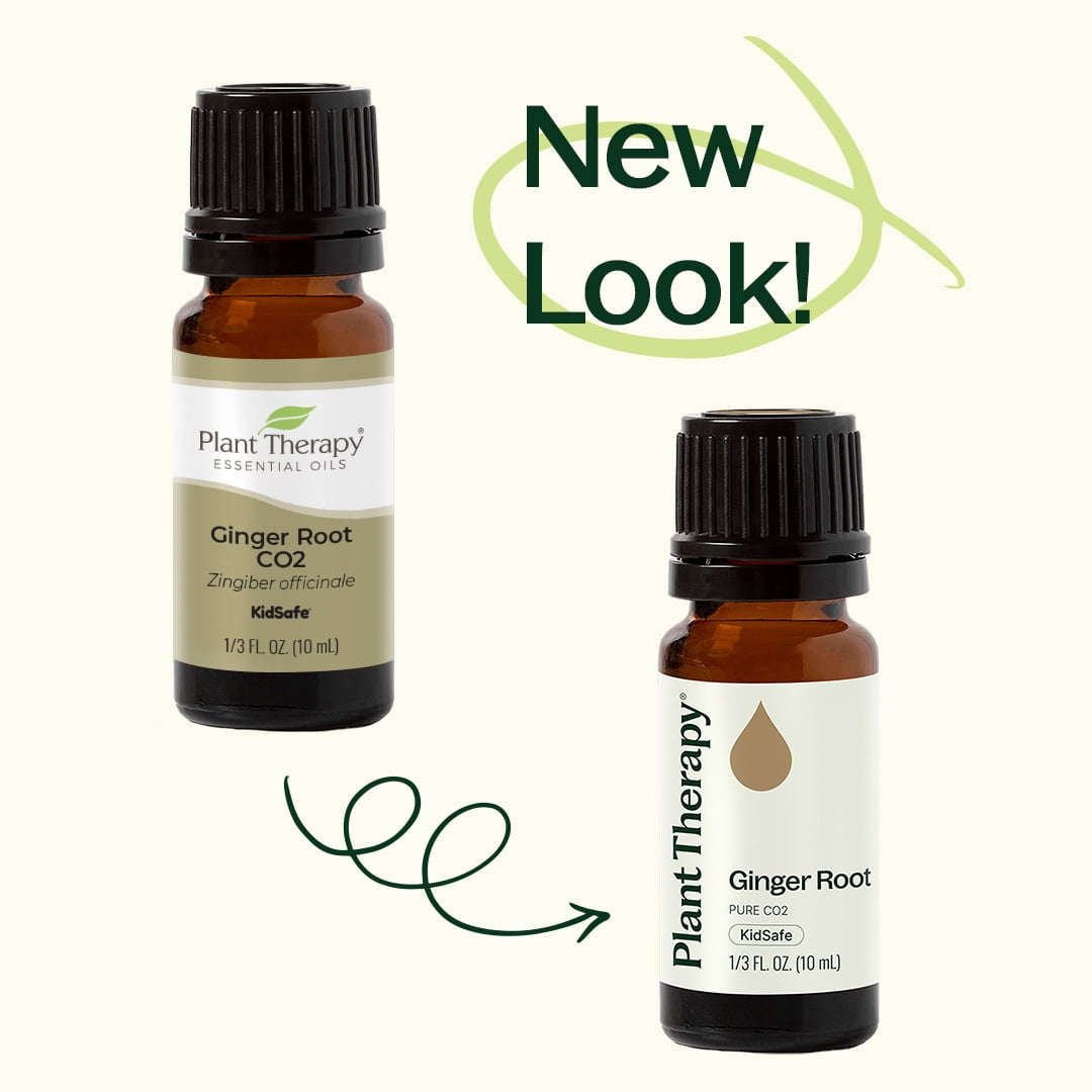 Plant Therapy Ginger Root CO2 Essential Oil 100% Pure, Undiluted, Natural Aromatherapy 30 mL (1 fl oz)