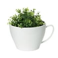 thumbnail image 3 of Algreen Modena Cappuccino Planter, 7-In Cup Planter, Glossy White, 3 of 3