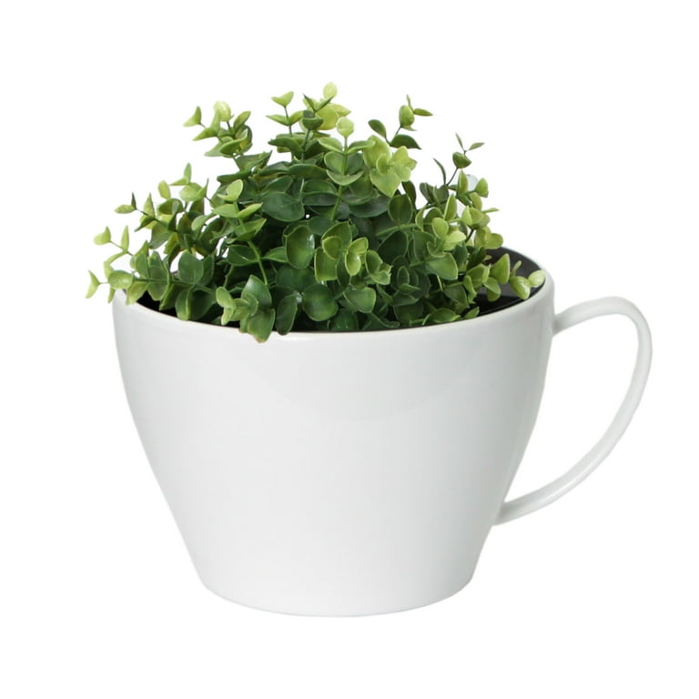 Algreen Modena Cappuccino Planter, 7-In Cup Planter, Glossy White Algreen Modena Cappuccino Planter, 7-In Cup Planter, Glossy White