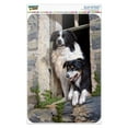 thumbnail image 1 of Border Collies Window Dogs Home Business Office Sign, 1 of 4