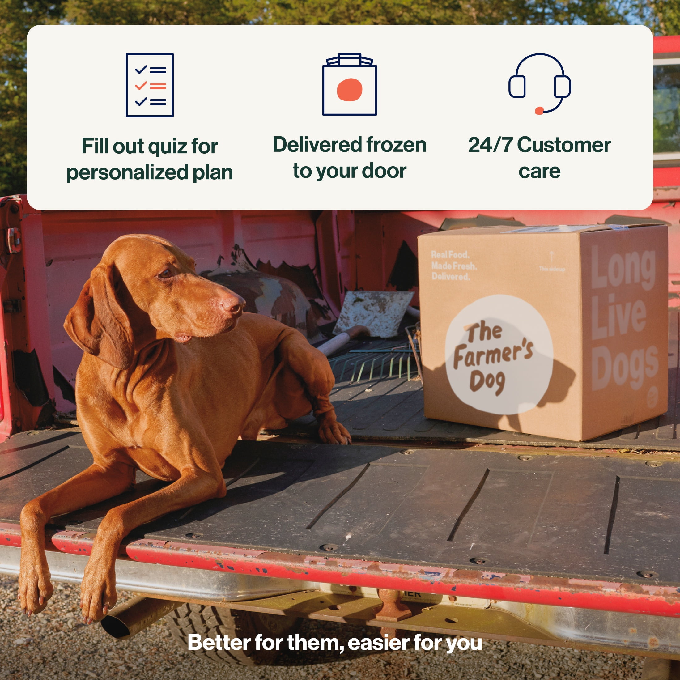 The Farmer’s Dog Fresh Human-Grade Dog Food, Personalized Meal Plan Subscription Grain-Free Set: Chicken & Turkey for all Breeds & Sizes