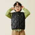 thumbnail image 2 of Little Boys Girls Puffer Vest Boys Vest Light Weight Down Vest with Button Down Windproof Down Jacket Sleeveless Winter Warm Outwear Jacket Vest 2-3 Years, 2 of 7