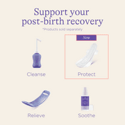 Lansinoh Postpartum Maxi Pads Bundle, Heavy Absorbency Overnight Pads 40 Count
