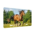 thumbnail image 2 of KAKALAD Horse Runs Gallop On Flower 01 Aluminum Universal Car Vehicles License Plate 6" x 12" (4 Holes), 2 of 9