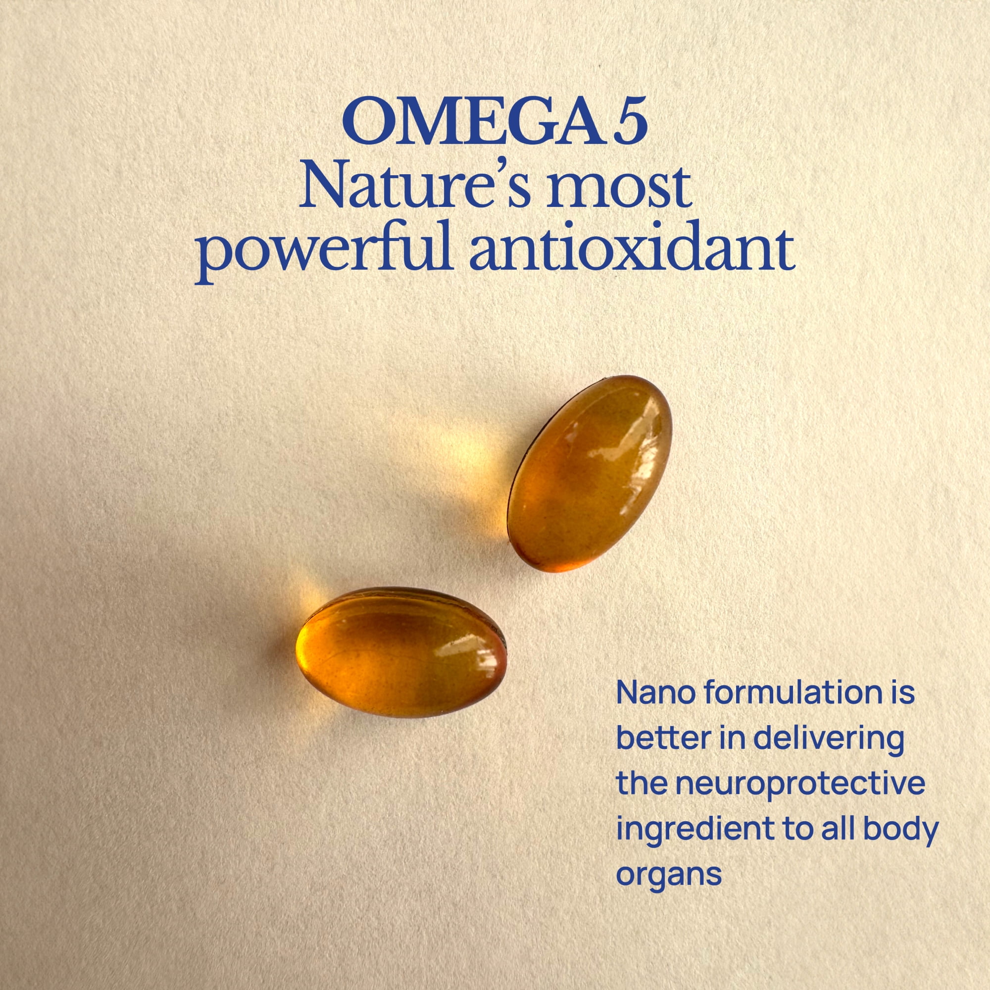 3 MONTH SUPPLY Brain Protect™ Nano Omega 5 Cinnamon Brain Supplement for Memory Focus Patent-Pending Nano-Formulation Antioxidant 180 Softgels Pomegranate Seed Punicic Acid