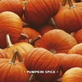 thumbnail image 2 of Air Wick, Plug in Essential Oils Kit, (Diffuser + Warmer + 2 Refills), Pumpkin Spice, 1.34 Fl Oz, 2 of 7