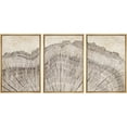 thumbnail image 3 of PixonSign Framed Wall Art Set Retro Close Up Oak Wood Tree Rings Nature Wilderness Modern Art Decorative Farmhouse Zen Artwork for Living Room, Bedroom, Office - 24"x36"x3 Natural, 3 of 5