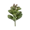 thumbnail image 2 of Vickerman 4" Artificial Assorted Succulent Picks, 6 per Bag, 2 of 4