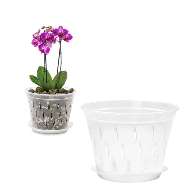 LONGRV Orchid Pot 5 inch with Holes and Saucers, Clear Plastic Orchid