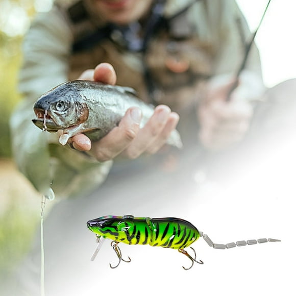 Riforla Realistic 3D for Trout & Catfish Fishing for Freshwater & Saltwater Lures Baits & Attractants D