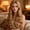 Brown, variant on Wavy Clip In Hair Extensions for Women, Long Curly Synthetic One Piece Hairpiece Thickened Hair Extensions(White,One Size)