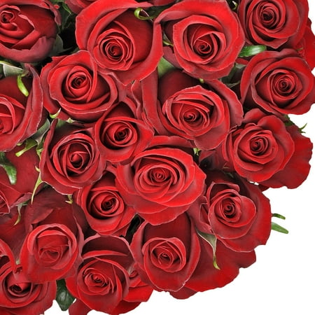 Natural Fresh Flowers Red Roses 24 100 Stems Walmart Com