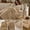 Khaki, variant on Textured Striped Throw Blanket | Pink - Soft Fuzzy Ribbed Warm Decor Blanket for Couch Sofa Bed, All Season Cozy Plush for Home Office Travel