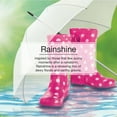 thumbnail image 3 of LITTLE TREES air freshener Rainshine 3-Pack, 3 of 8