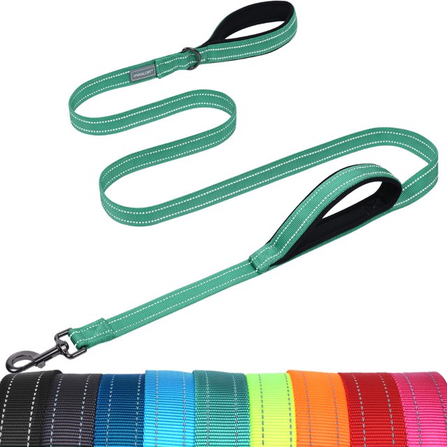 VIVAGLORY Laisse pour Chien Twingrip, Laisse pour Chien à Double Poignée pour l'Entraînement et la Marche avec Poignée de Circulation et 2 Boucles, Contrôle de la Circulation Réfléchissant Robuste pour Chiot Animal de Compagnie, 4 Pieds x 1 Po, Vert