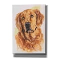 thumbnail image 1 of Epic Graffiti 'Golden Retriever 2' by Barbara Keith, Canvas Wall Art, 18"x26", 1 of 8