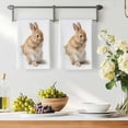 thumbnail image 3 of Funny Bunny Kitchen Towels Set of 2, Cute Art Fun Lovely Animals on Toilets Absorbent Dish Towels for Kitchen, Microfiber Hand Towel, Quick Drying Tea Towel for Cleaning Decorative Dishcloths, 3 of 7