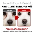 thumbnail image 3 of Peine de aseo facial JAYU PET para perros y gatos, acero inoxidable, 3 of 9
